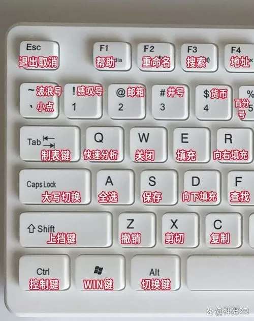 笔记本哪个键可以代替滚轮