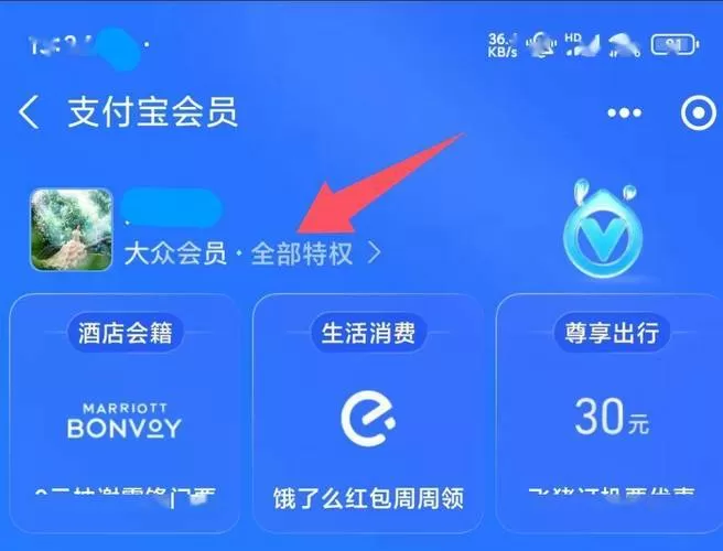 支付宝会员4个等级颜色