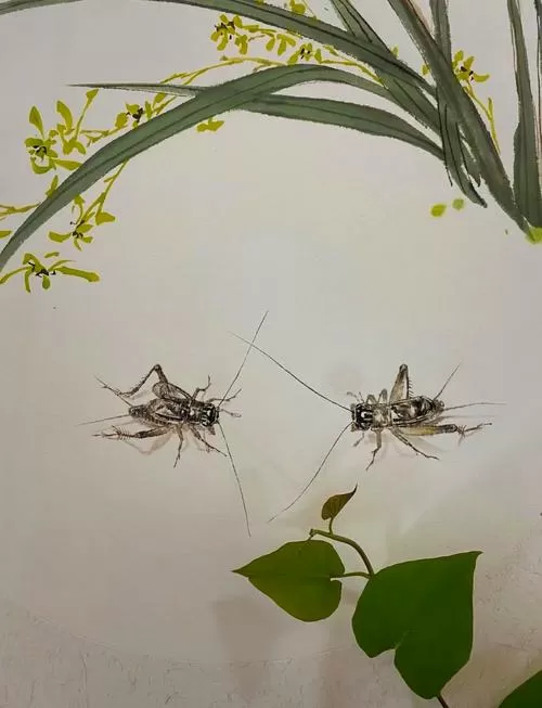 电子斗蛐蛐W7