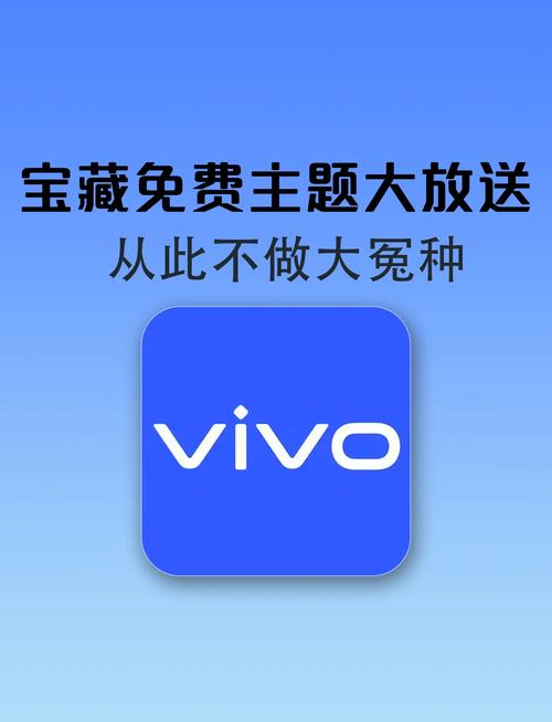 VIVO主题兑换码截图