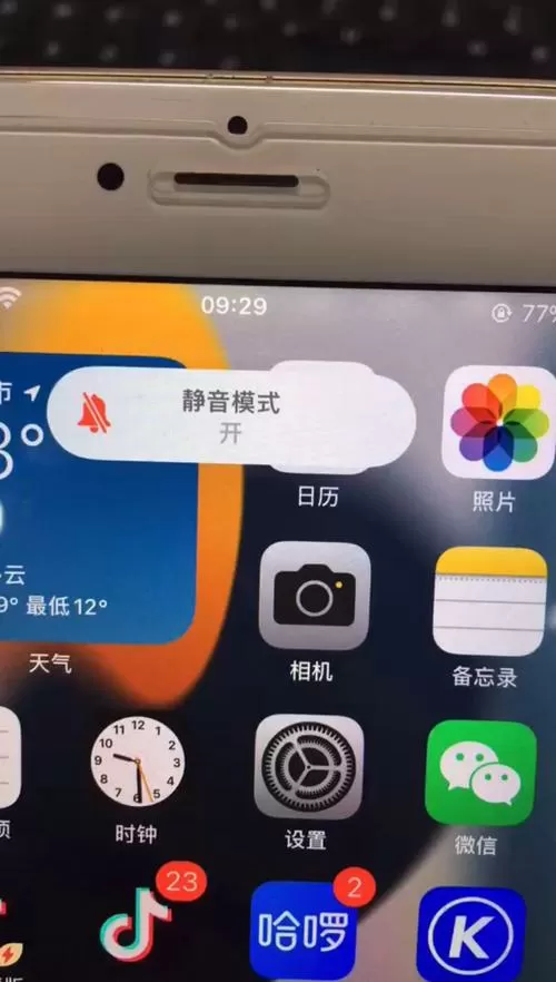 ipad显示手机静音键被锁定