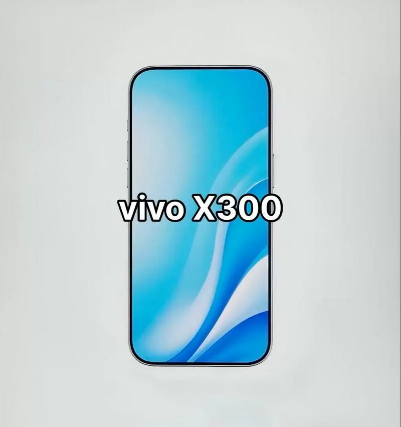 vivox300都有什么功能