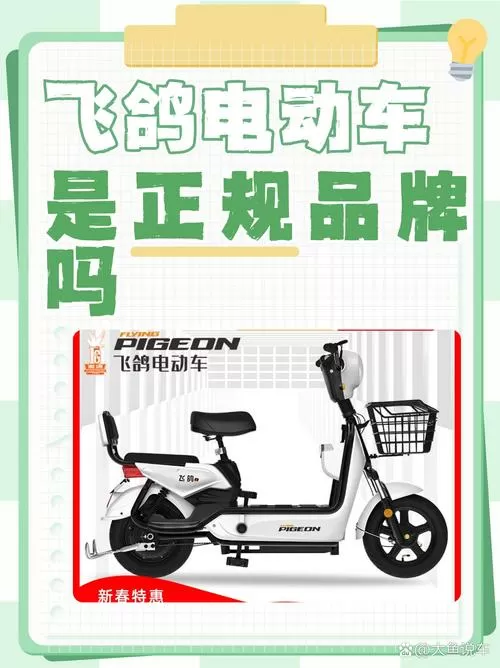 飞鸽电动车型号一览表