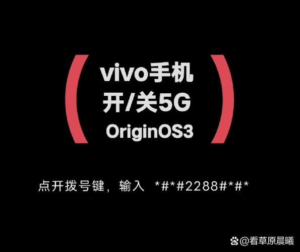 vivo关闭5g开关