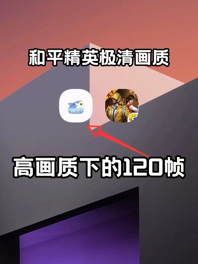 和平精英120帧助手下载安装截图