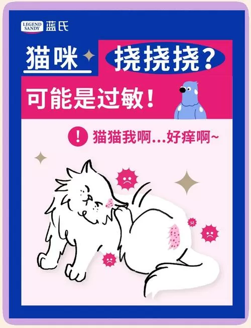 猫咪总是挠身上