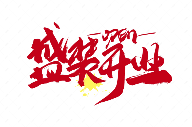 盛装的意思