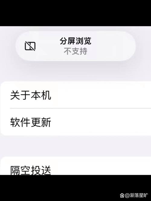 ipad显示分屏浏览不可用截图
