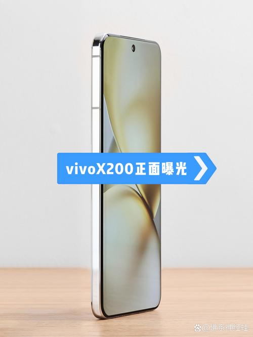 vivo手机有镜子功能吗