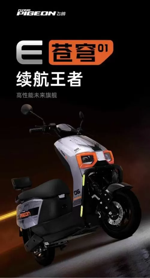飞鸽2025新款电动车