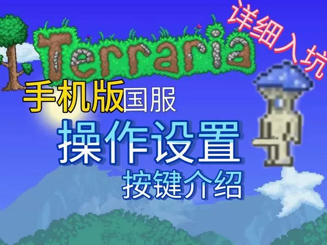 泰拉瑞亚怎么打开控制台
