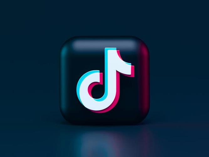 tiktok18无广告版光环加速版截图