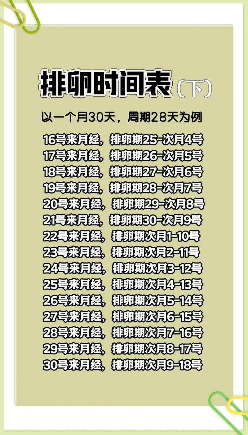 女人排卵时间表格图光环加速版