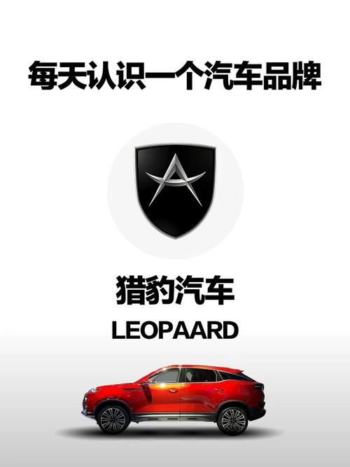 猎豹加速到100公里需要几秒黄化版