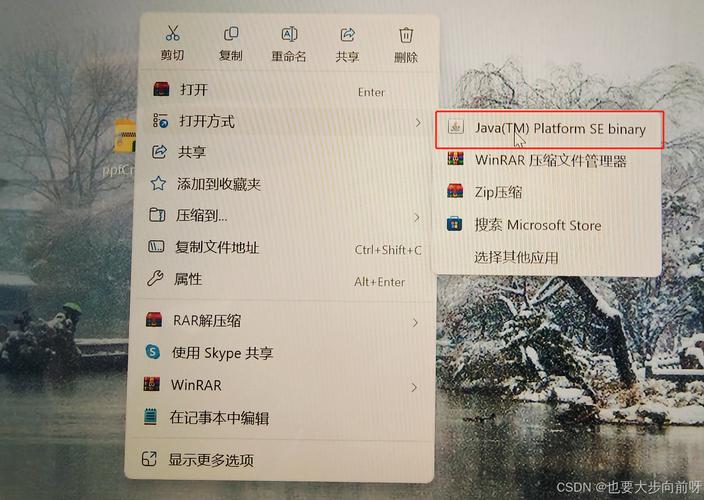 电脑下载成功但是安装不了免费版