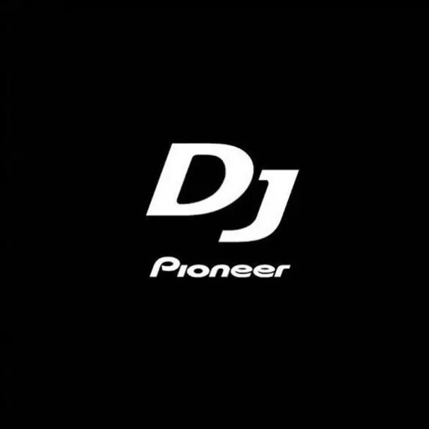 pioneer加速器