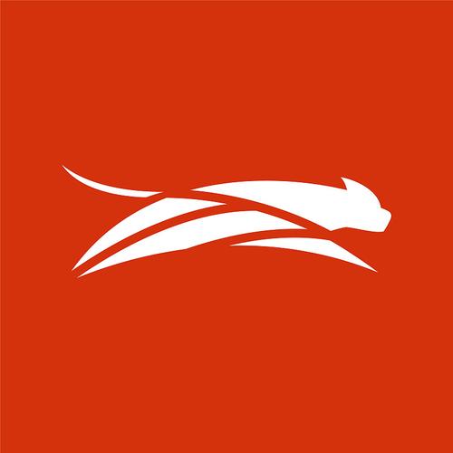 猎豹加速球BOOSTER