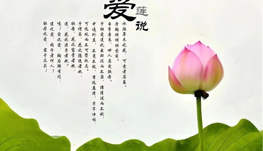 爱莲说诗全诗完美版截图
