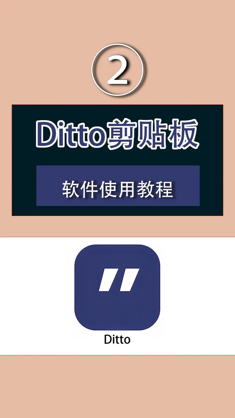 ditto怎么用加速永久