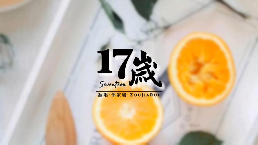 十七岁在线试听