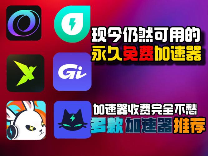 推特加速器无限免费推荐紫色版