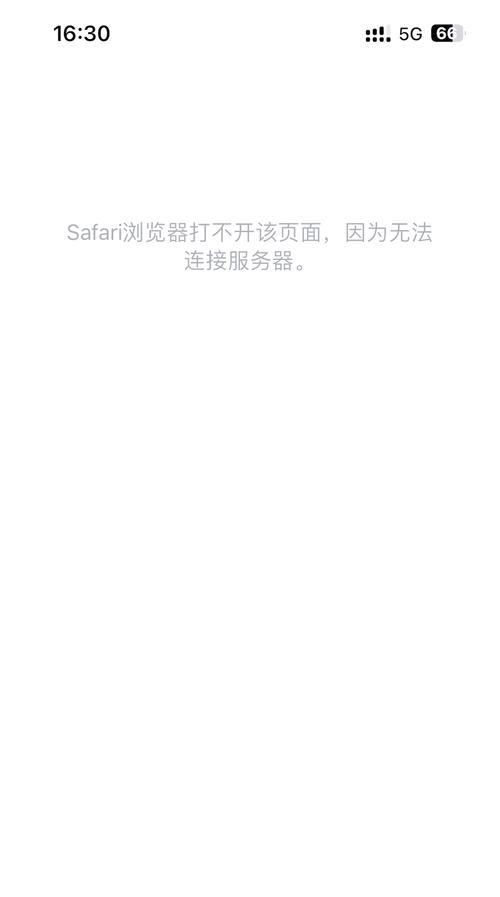苹果手机浏览器无法打开网页怎么办