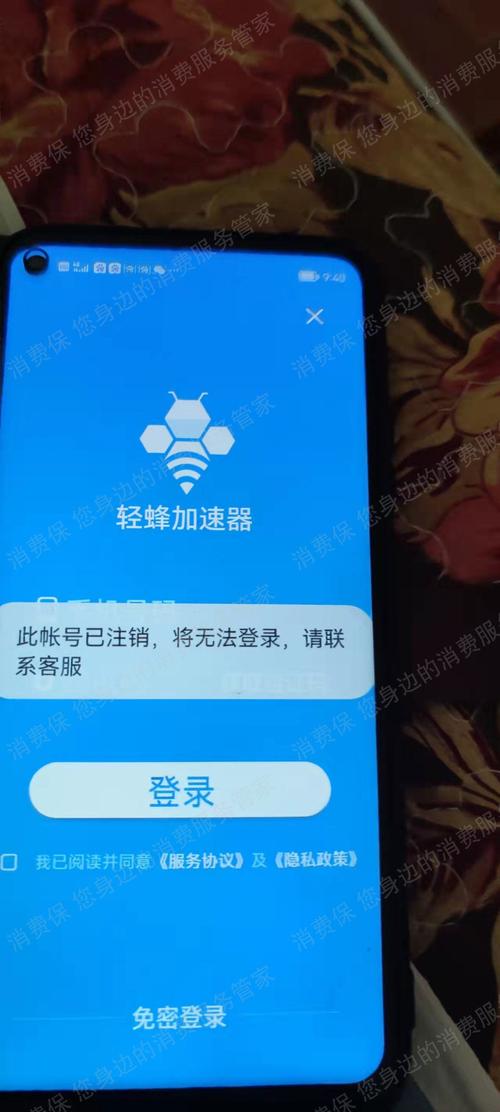 轻蜂加速器v3.1.7图标
