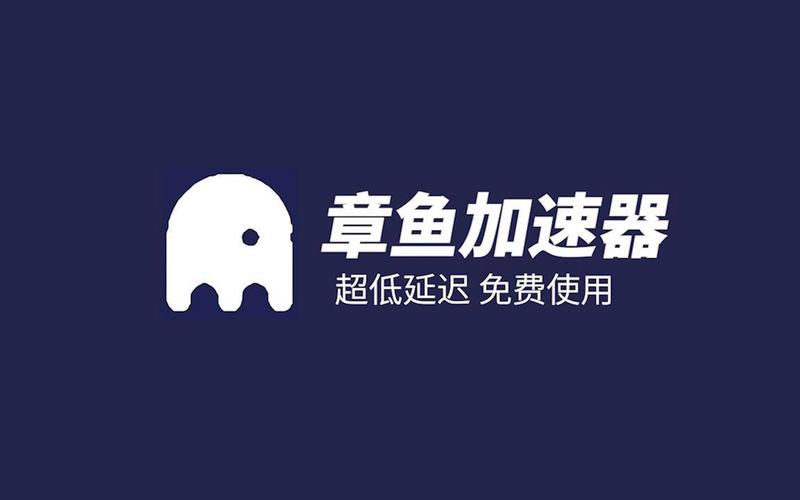 章鱼加速器10