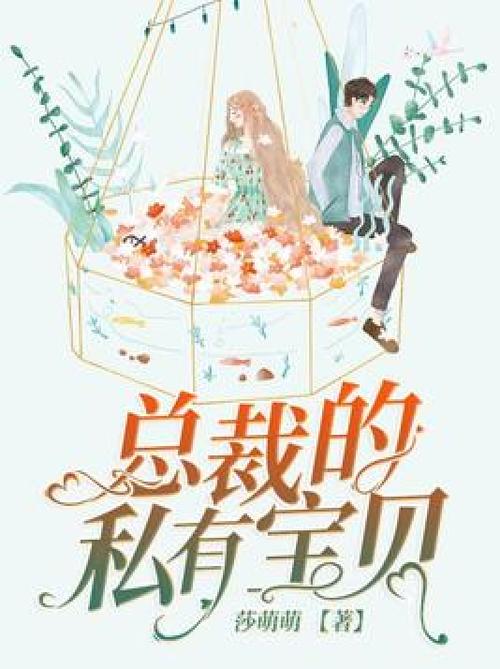 小说总裁的私有宝贝全文免费阅读光环加速版