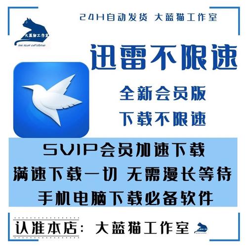 迅雷无限速破解版安卓无广告版