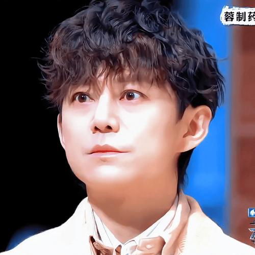 何炅简介个人资料光环加速版图标