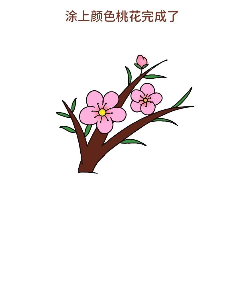 小学生桃花的简单画法加速永久