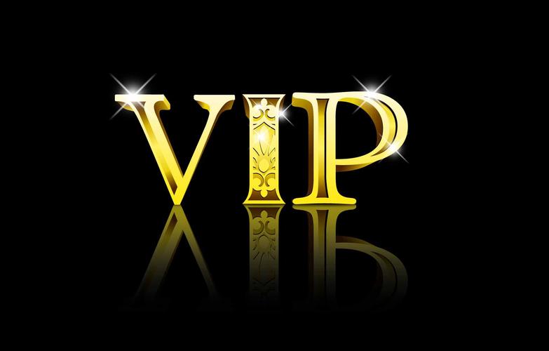 business的用法及短语vip