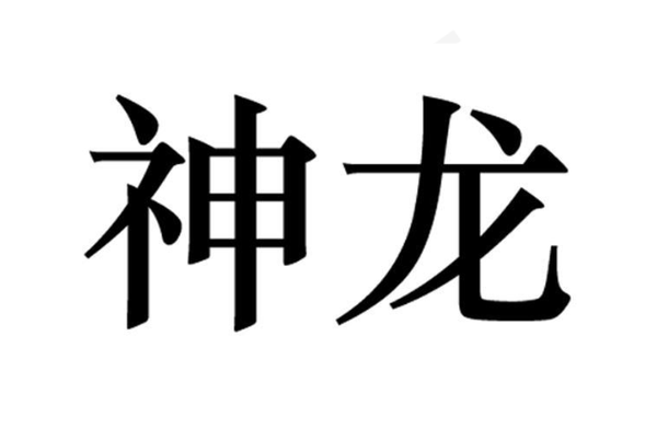 神龙加速2023