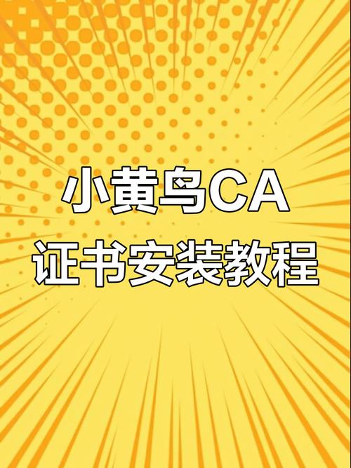 黄鸟ca证书下载安装流程截图