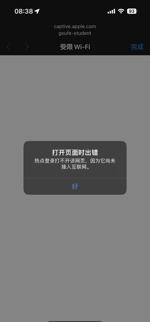 手机运行ping测试去限制版
