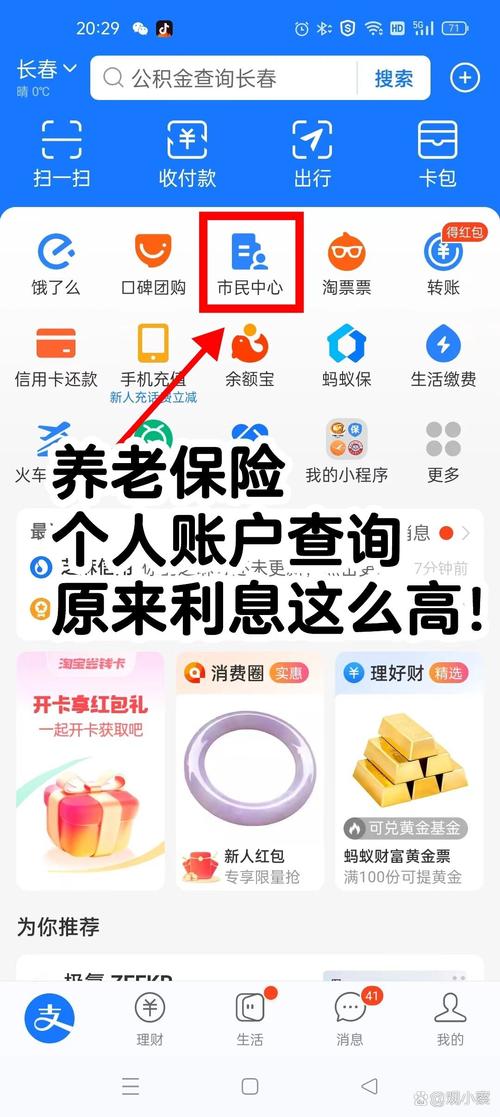 养老保险个人帐户余额查询软件永久免费版