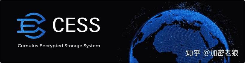alphanetwork最新消息加速永久破解版永久免费