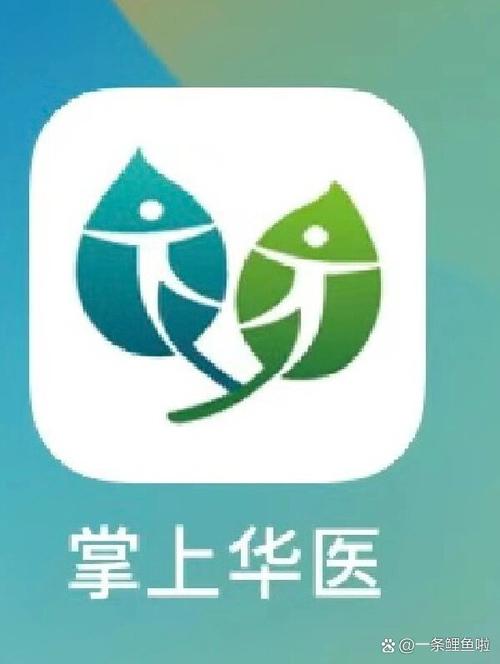 掌上华医无毒版