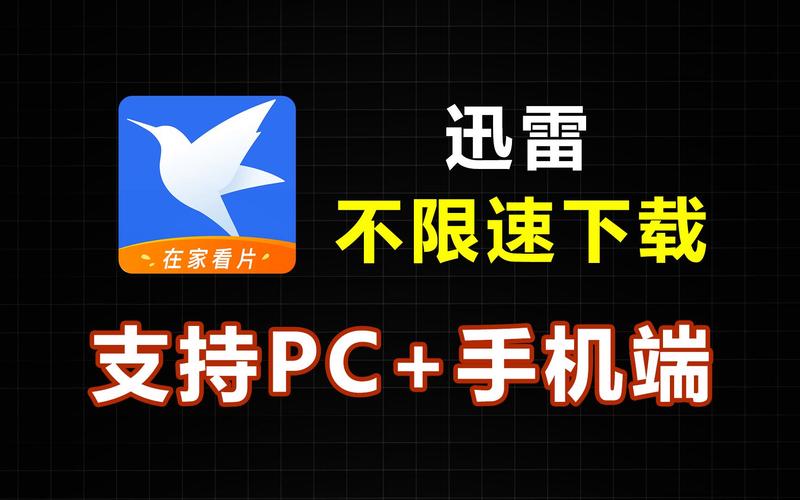 迅雷永不升级版本破解版无限体力截图