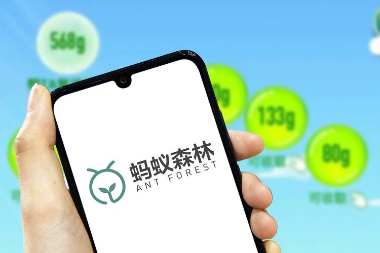 2025蚂蚁森林最新消息加速永久图标