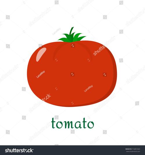 tomato下载
