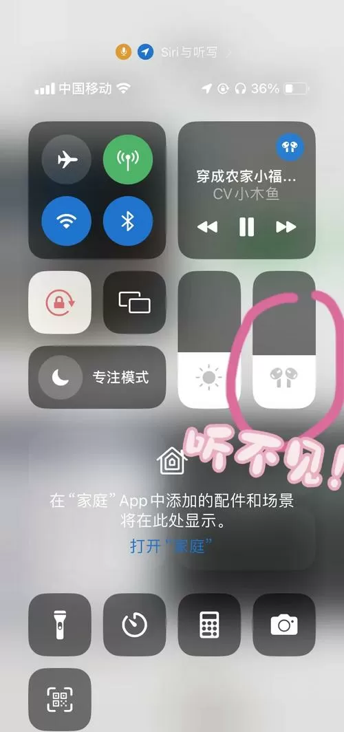 苹果抖音一开声音就变小