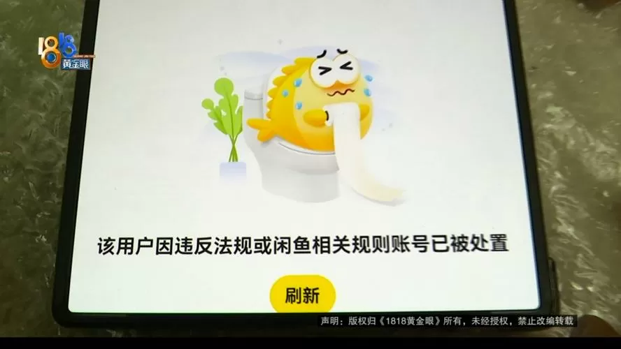闲鱼该用户账号已被处置截图