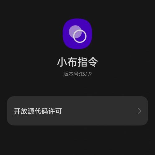 小布指令官方正版无限版图标