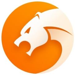 猎豹浏览器下载图标