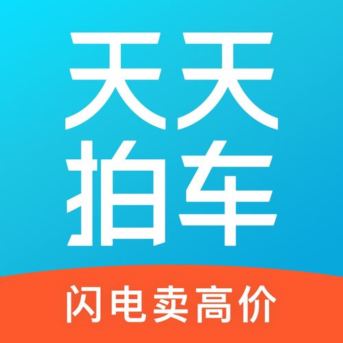 天天拍车二手车平台