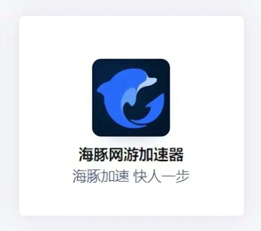 海豚npv加速器下载无付费最新版截图