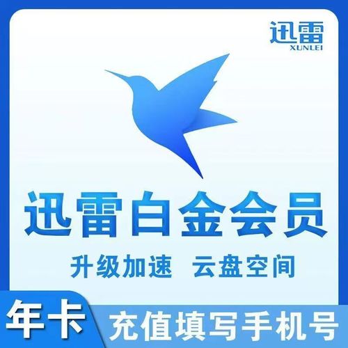 tera一005迅雷永久vip截图