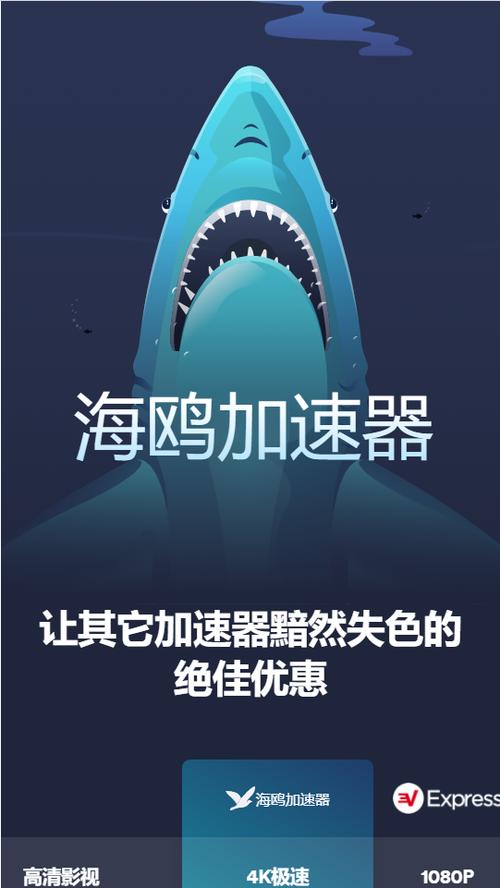 海鸥加速器永久免费官方解锁全部书源